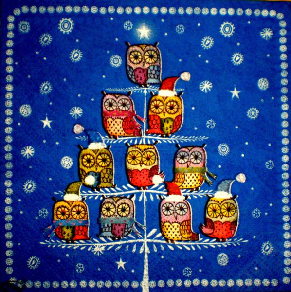 014 Eulen - 3-lagig (blau) - Paw